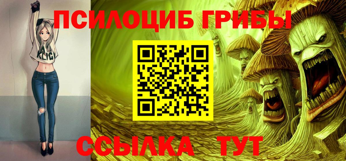 Алапаевск  Псилоцибиновые грибы Cubensis  Вход с VPN  Псилоцибиновые грибы мицелий 